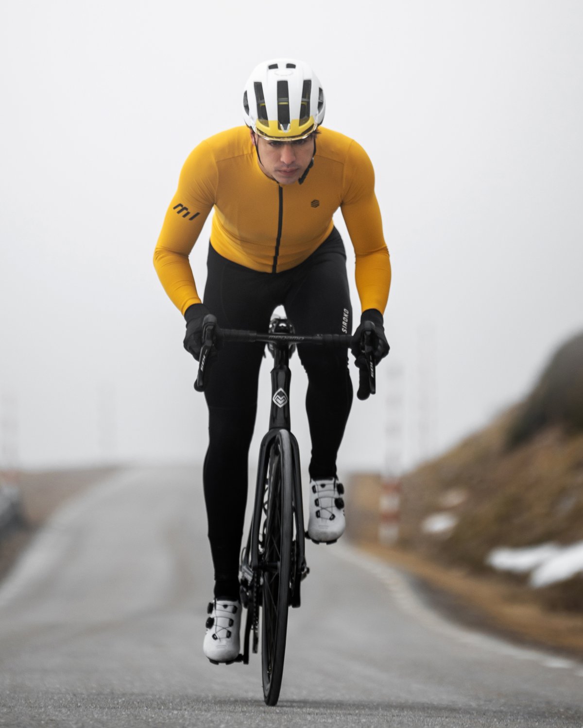 crop_center.jpg?v=1743155856