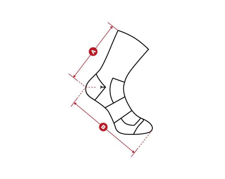 Collab Sporting120 Socks Accessories