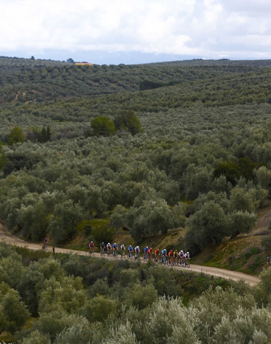 Imagen de la Clásica Gran fondo Jaén Paraíso Interior