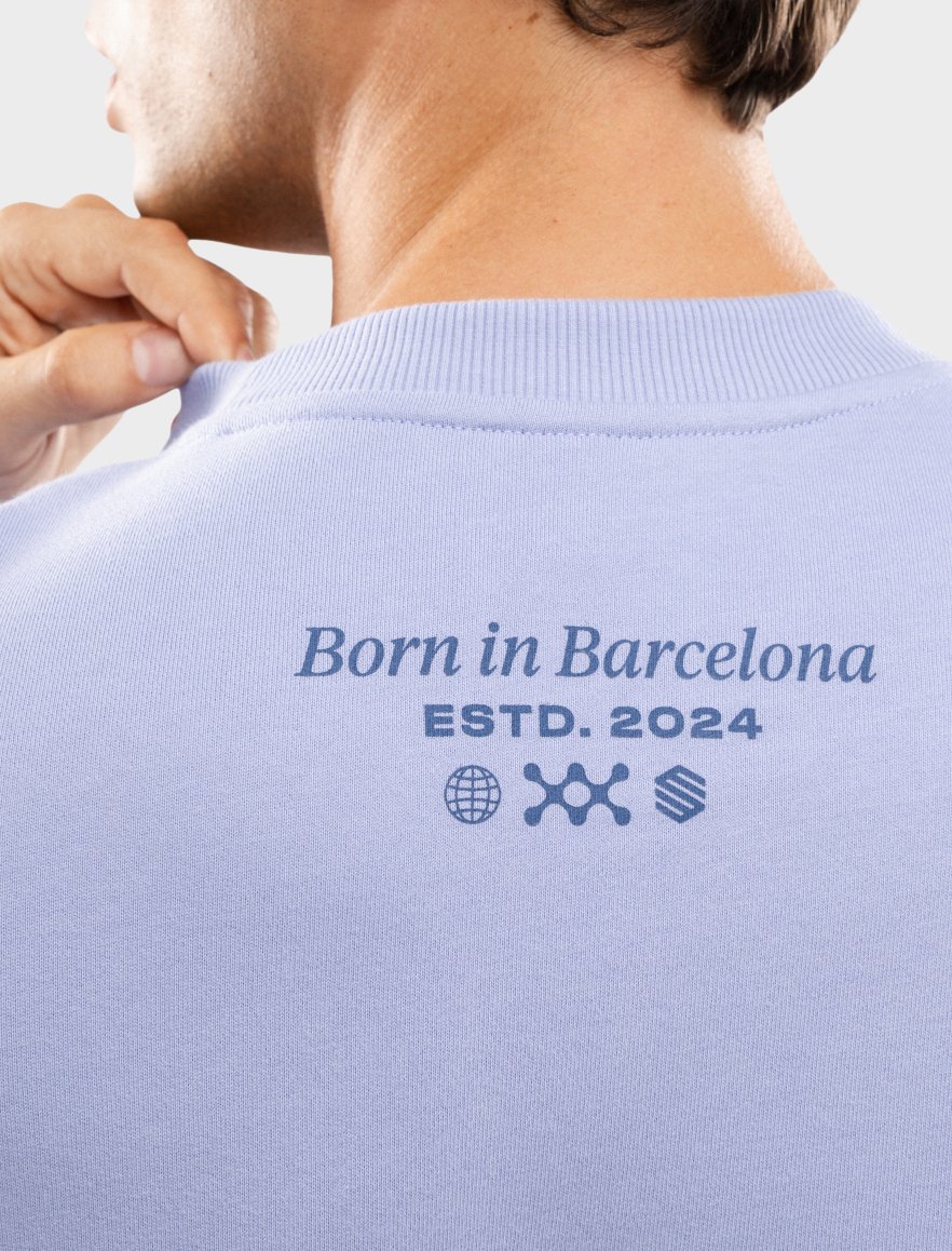 RC Ready Light Purple