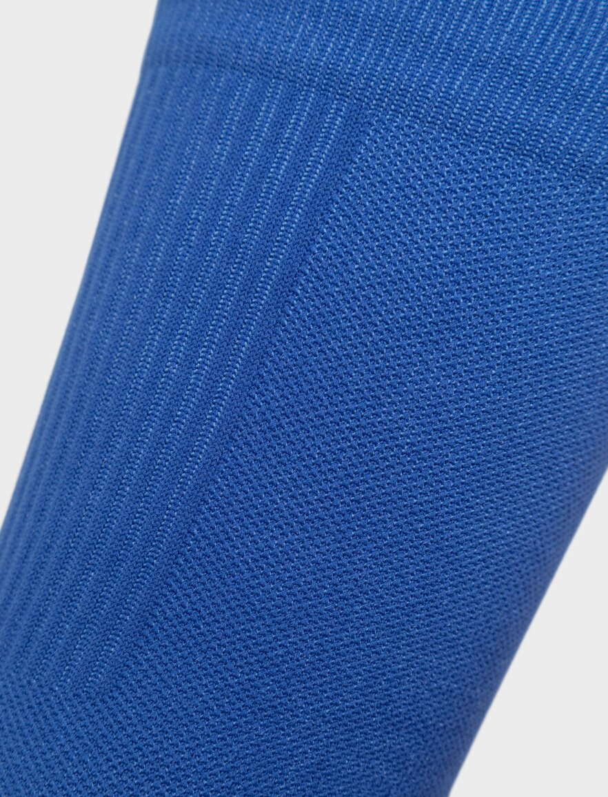 GS1 Blue