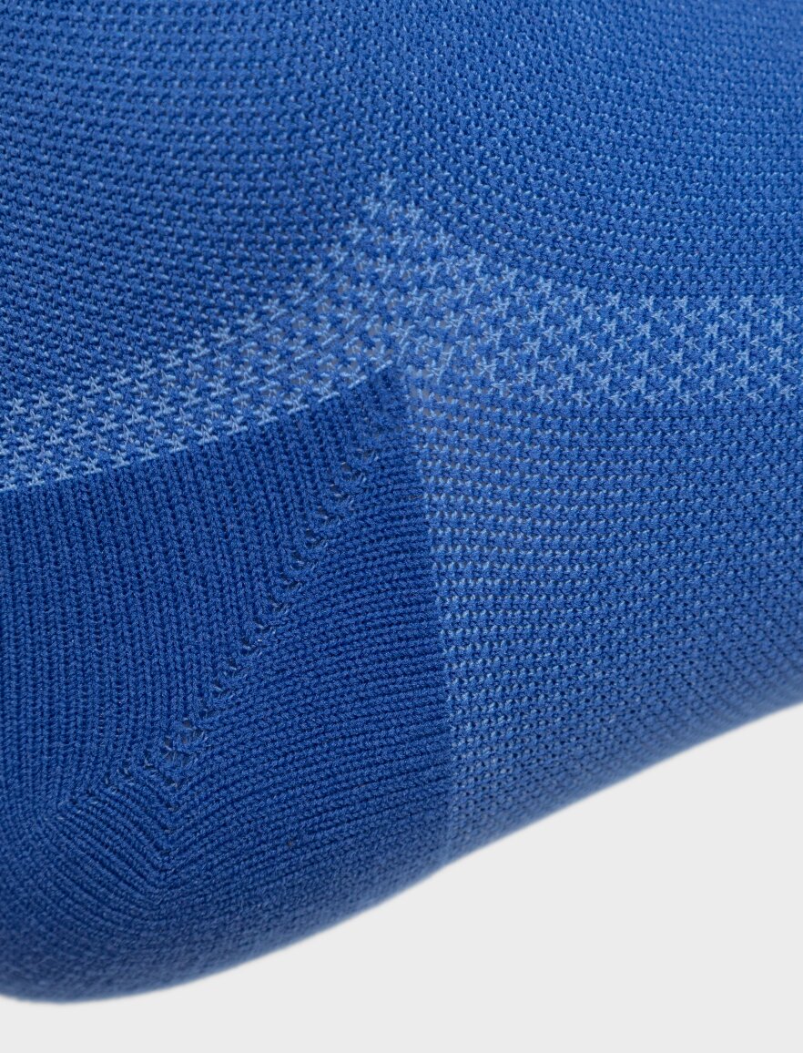 GS1 Blue