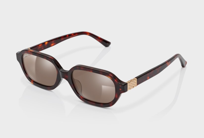Oblong Black Tortoise
