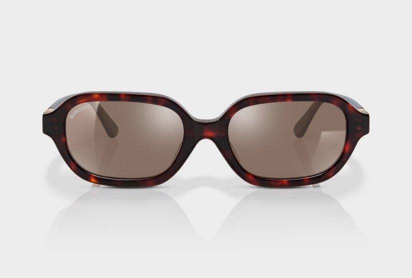 Oblong Black Tortoise