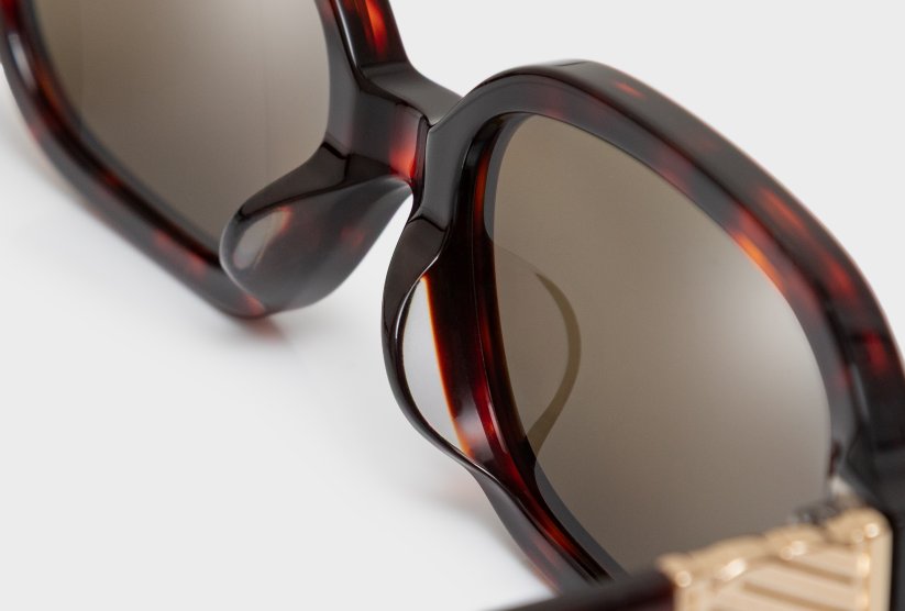Oblong Black Tortoise