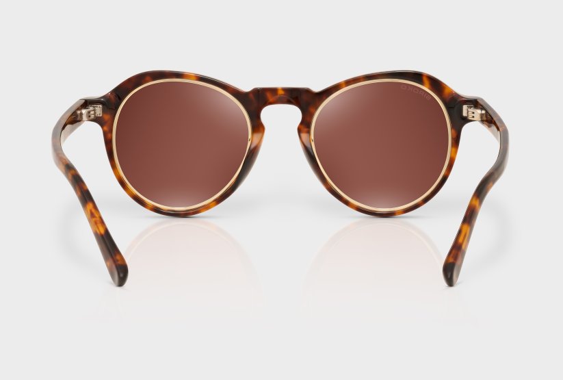 Loop Black Tortoise