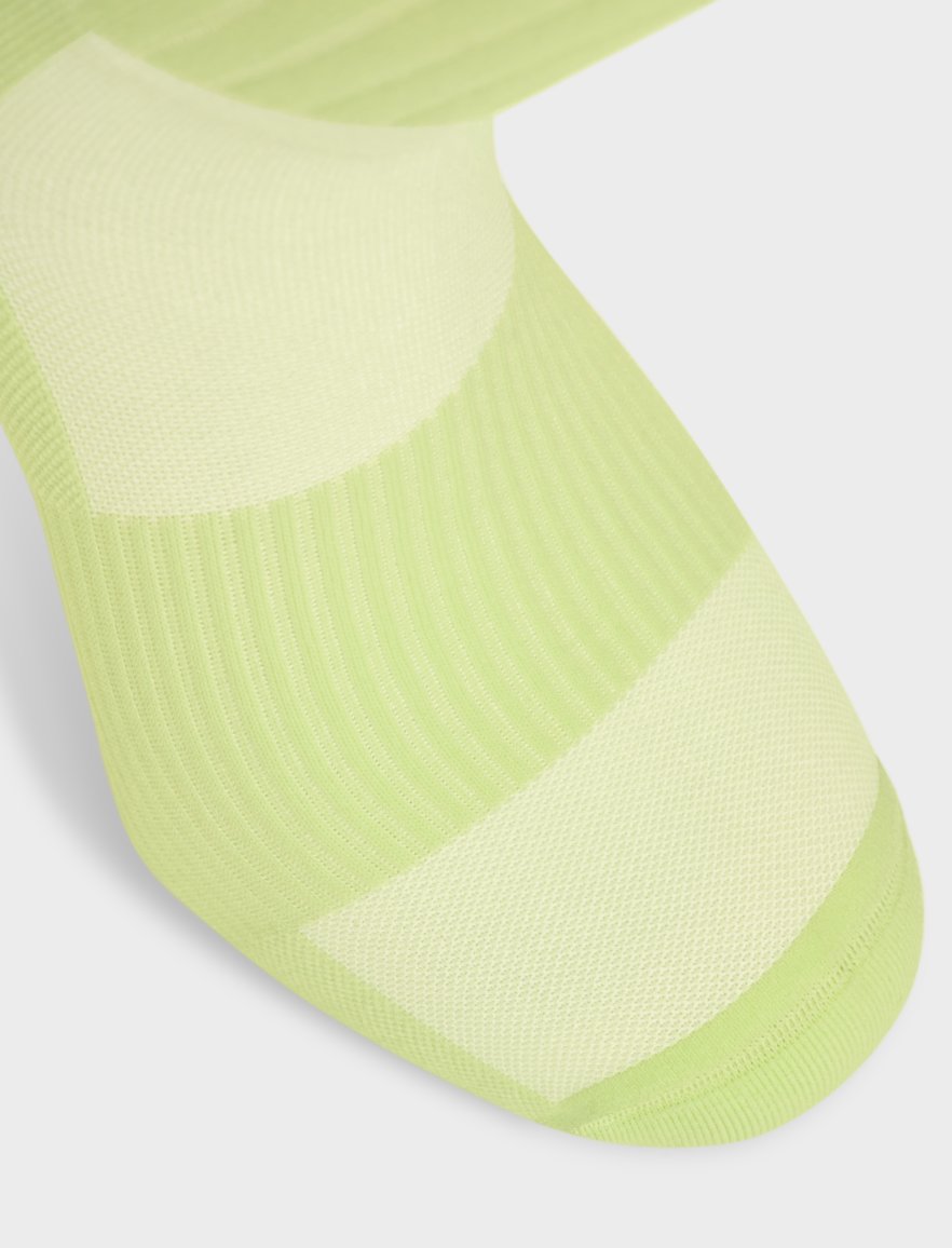 Contour Lime